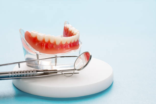 Professional Dental Services in La Presa, CA